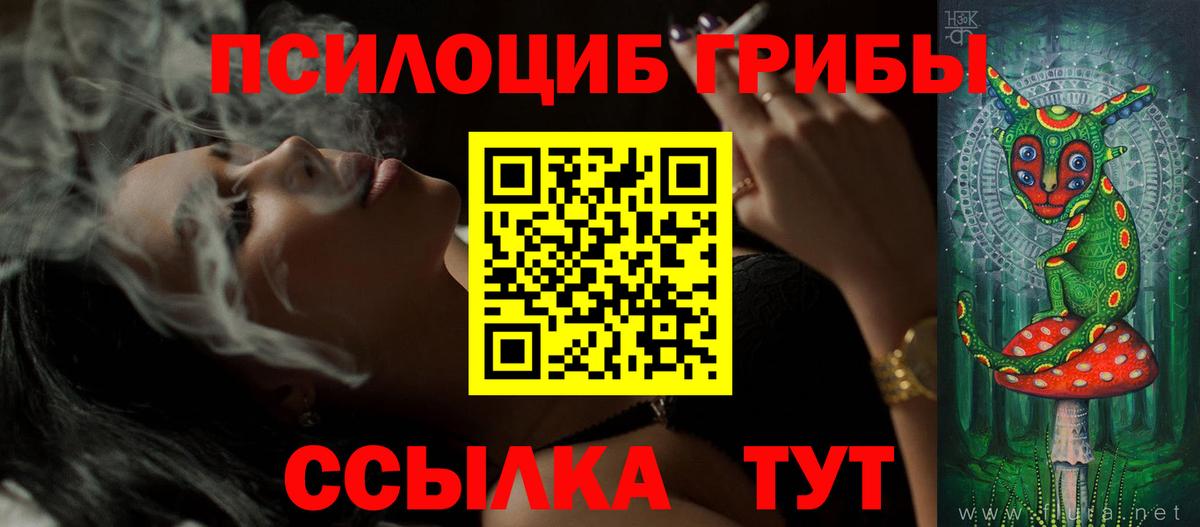 Кандалакша  Галлюциногенные грибы MAGIC MUSHROOMS  Вход с VPN 